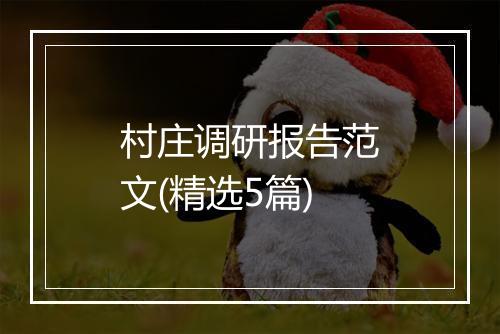 村庄调研报告范文(精选5篇)