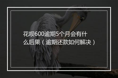花呗600逾期5个月会有什么后果（逾期还款如何解决）