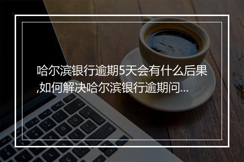 哈尔滨银行逾期5天会有什么后果,如何解决哈尔滨银行逾期问题