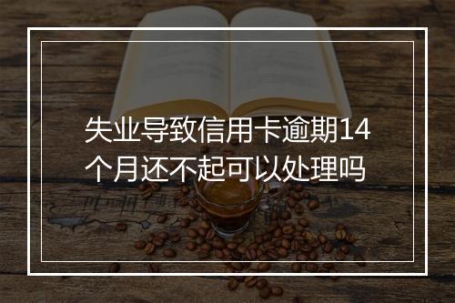 失业导致信用卡逾期14个月还不起可以处理吗