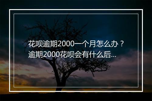 花呗逾期2000一个月怎么办？逾期2000花呗会有什么后果？