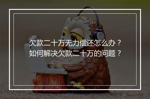 欠款二十万无力偿还怎么办？如何解决欠款二十万的问题？