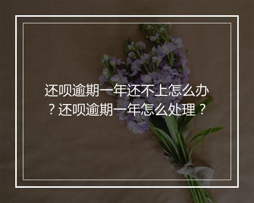 还呗逾期一年还不上怎么办？还呗逾期一年怎么处理？