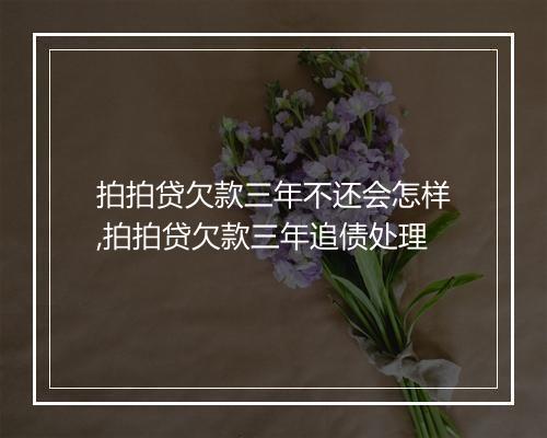 拍拍贷欠款三年不还会怎样,拍拍贷欠款三年追债处理