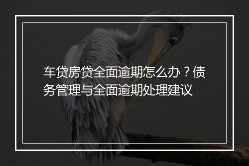 车贷房贷全面逾期怎么办？债务管理与全面逾期处理建议