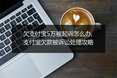 欠支付宝5万被起诉怎么办,支付宝欠款被诉讼处理攻略