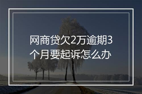 网商贷欠2万逾期3个月要起诉怎么办