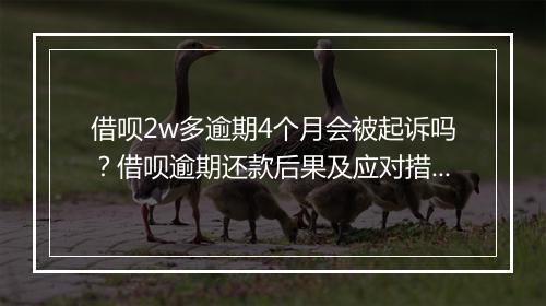 借呗2w多逾期4个月会被起诉吗？借呗逾期还款后果及应对措施