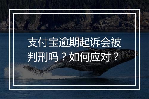 支付宝逾期起诉会被判刑吗？如何应对？