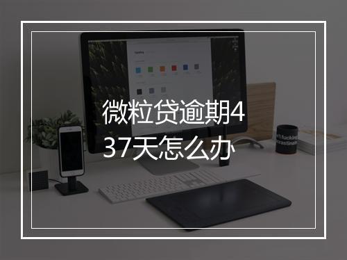 微粒贷逾期437天怎么办