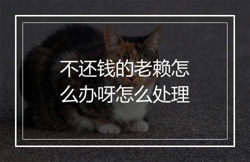 不还钱的老赖怎么办呀怎么处理