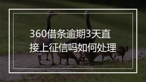 360借条逾期3天直接上征信吗如何处理