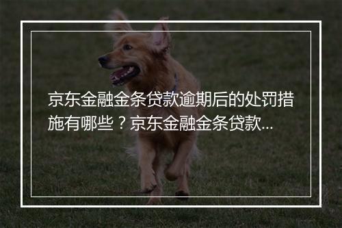 京东金融金条贷款逾期后的处罚措施有哪些？京东金融金条贷款逾期的后果