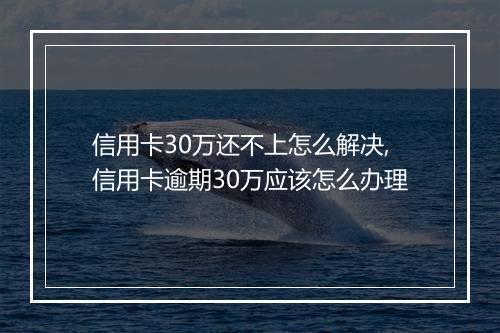 信用卡30万还不上怎么解决,信用卡逾期30万应该怎么办理