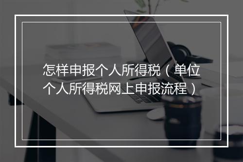 怎样申报个人所得税（单位个人所得税网上申报流程）