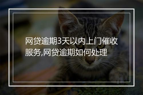 网贷逾期3天以内上门催收服务,网贷逾期如何处理