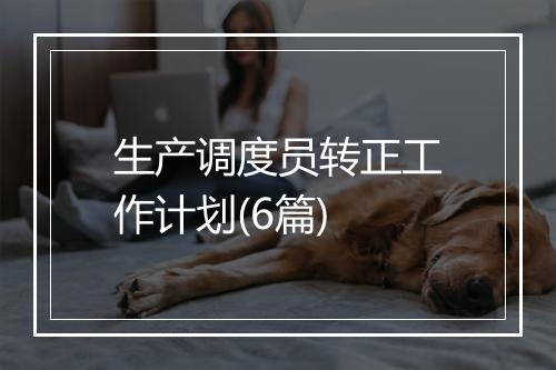 生产调度员转正工作计划(6篇)
