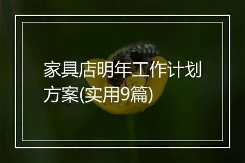 家具店明年工作计划方案(实用9篇)