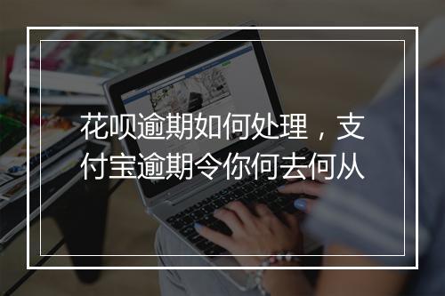 花呗逾期如何处理，支付宝逾期令你何去何从