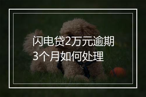闪电贷2万元逾期3个月如何处理