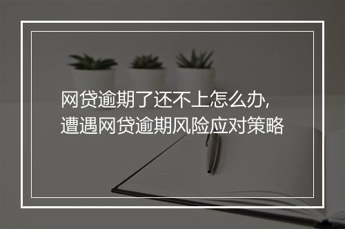 网贷逾期了还不上怎么办,遭遇网贷逾期风险应对策略
