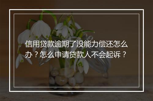 信用贷款逾期了没能力偿还怎么办？怎么申请贷款人不会起诉？