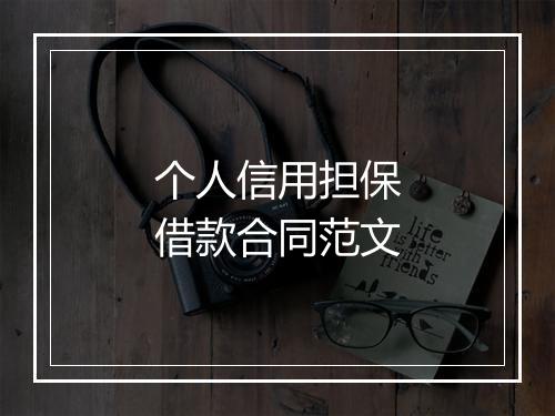 个人信用担保借款合同范文