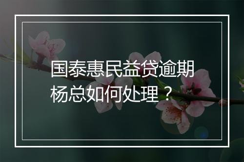 国泰惠民益贷逾期杨总如何处理？