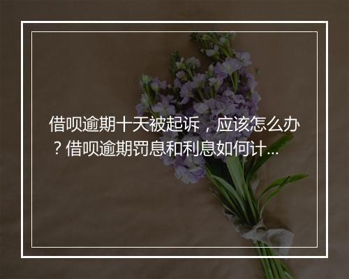 借呗逾期十天被起诉，应该怎么办？借呗逾期罚息和利息如何计算？