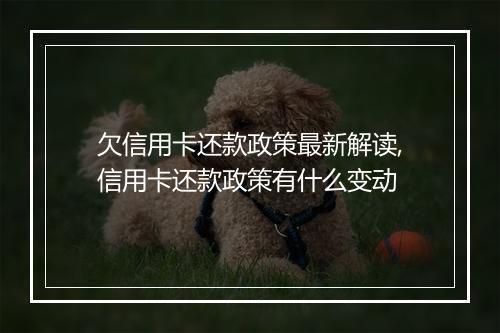 欠信用卡还款政策最新解读,信用卡还款政策有什么变动