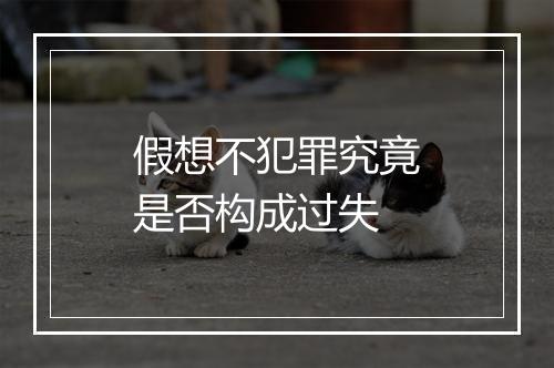 假想不犯罪究竟是否构成过失