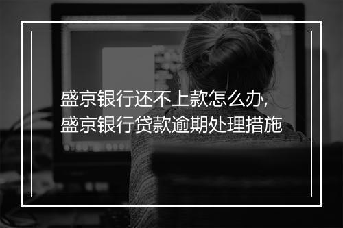 盛京银行还不上款怎么办,盛京银行贷款逾期处理措施