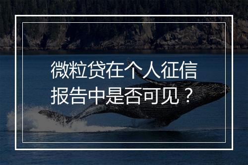 微粒贷在个人征信报告中是否可见？
