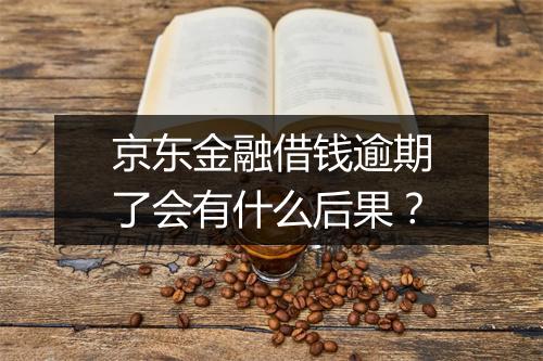 京东金融借钱逾期了会有什么后果？