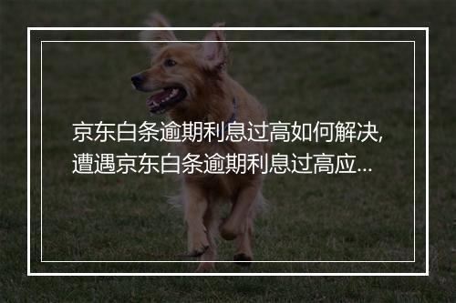 京东白条逾期利息过高如何解决,遭遇京东白条逾期利息过高应该怎么办