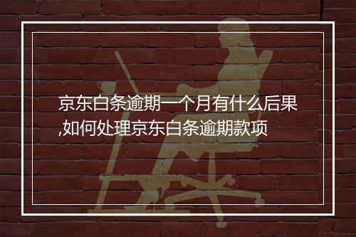 京东白条逾期一个月有什么后果,如何处理京东白条逾期款项