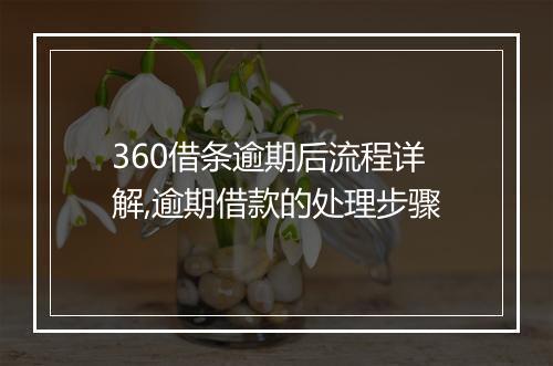 360借条逾期后流程详解,逾期借款的处理步骤