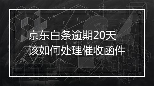 京东白条逾期20天该如何处理催收函件
