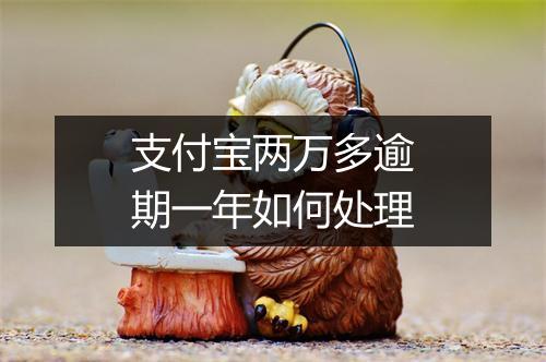 支付宝两万多逾期一年如何处理