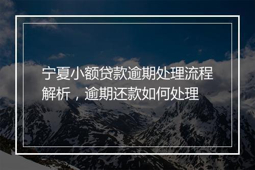 宁夏小额贷款逾期处理流程解析，逾期还款如何处理