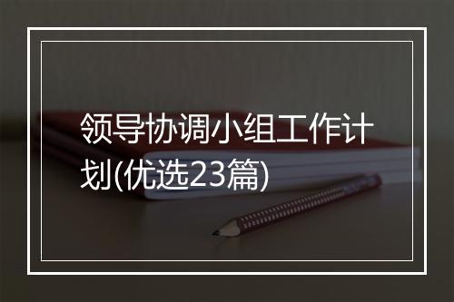 领导协调小组工作计划(优选23篇)