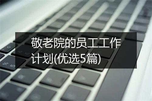 敬老院的员工工作计划(优选5篇)