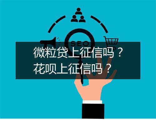 微粒贷上征信吗？花呗上征信吗？