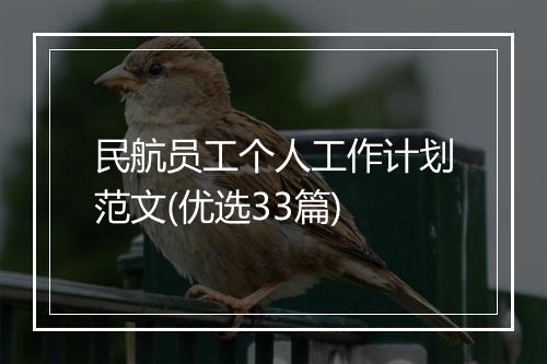 民航员工个人工作计划范文(优选33篇)