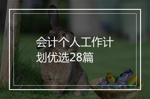 会计个人工作计划优选28篇