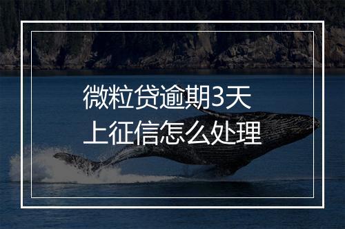 微粒贷逾期3天上征信怎么处理