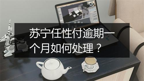 苏宁任性付逾期一个月如何处理？