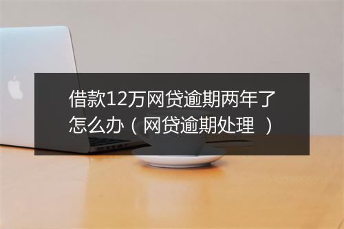 借款12万网贷逾期两年了怎么办（网贷逾期处理 ）