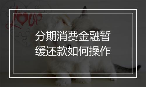 分期消费金融暂缓还款如何操作