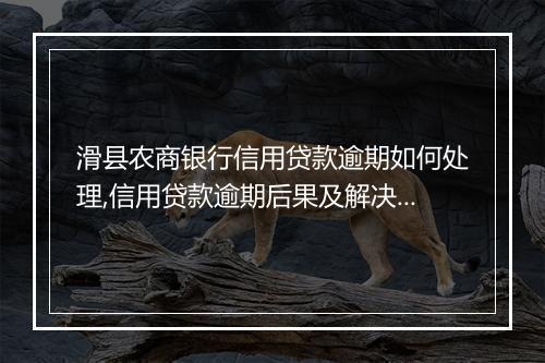 滑县农商银行信用贷款逾期如何处理,信用贷款逾期后果及解决办法
